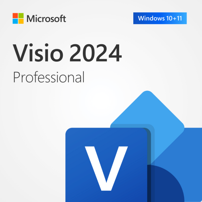 Licença Visio Pro 2024 para 1 PC (Reinstalável)